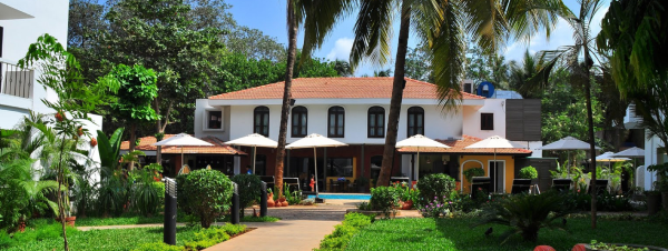 Citrus Goa
