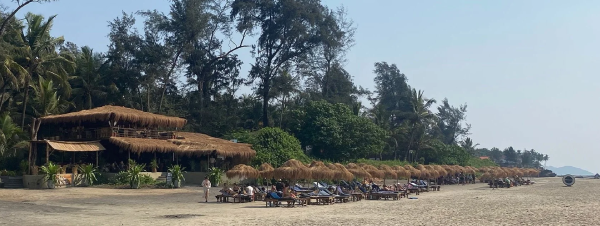 Palm Grove Beach Resort